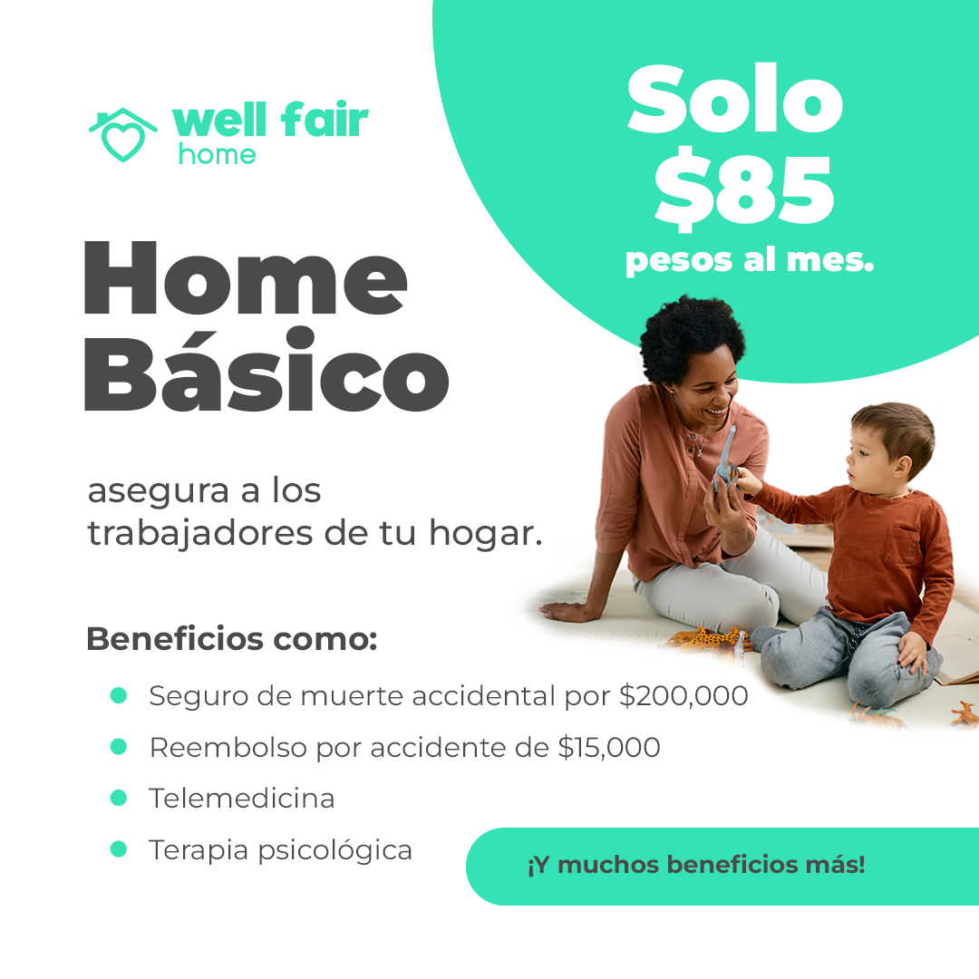 HOME BASIC